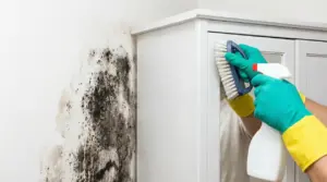 Pulizia di muffa su parete dietro un mobile con spazzola e spray