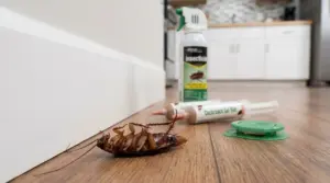 Blatta morta sul pavimento di una cucina con insetticida, gel e trappola per il controllo domestico